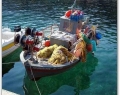 Fishing boat in Nissaki, Corfu